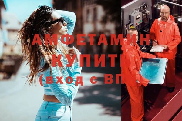 сатива Нефтекумск