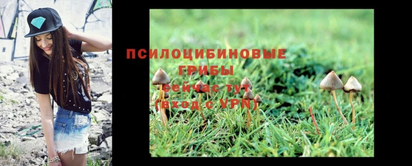 кокс Майский