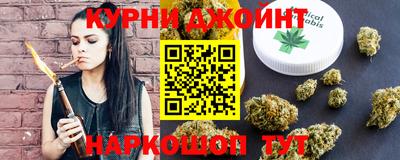 сатива Коммунар