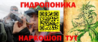 сатива Коммунар