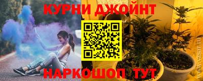 сатива Коммунар