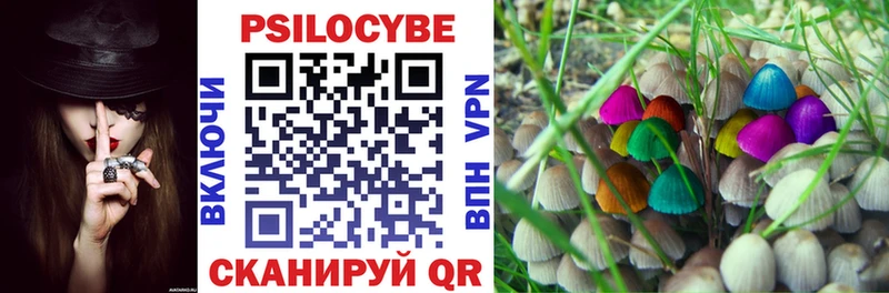 omg как войти  Пыть-Ях  Псилоцибиновые грибы мухоморы 