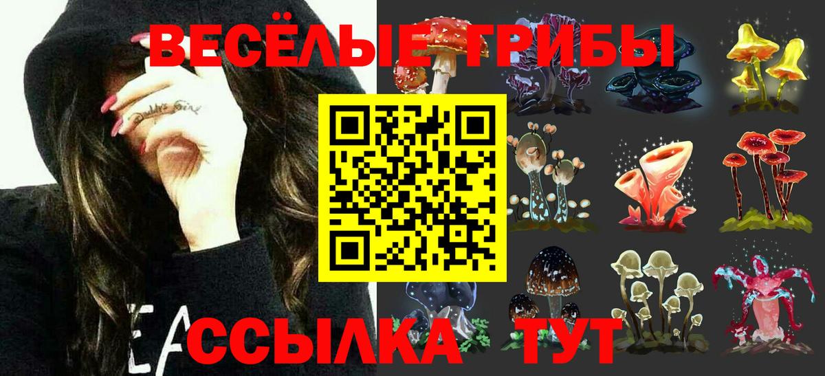 Галлюциногенные грибы прущие грибы Пыть-Ях